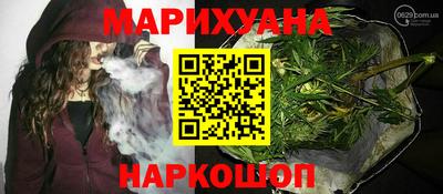 индика Дубна