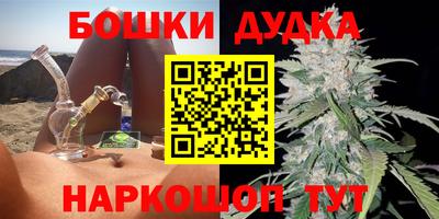 индика Дубна