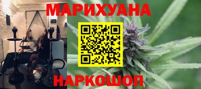 индика Дубна