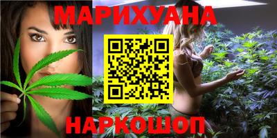индика Дубна